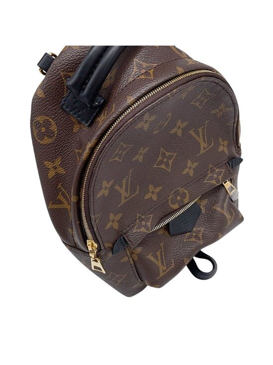Louis Vuitton Backpack Monogram Palm Spring Mini Bag Black